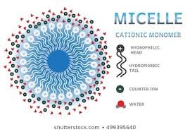 cleanser pH masterlist- diagram of a micelle